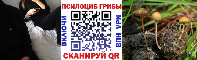 Галлюциногенные грибы ЛСД  Куртамыш 